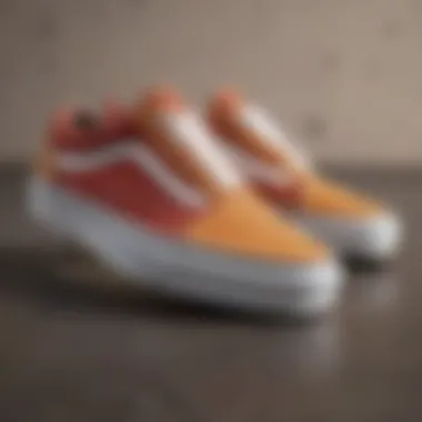 Detailed Texture of Old Skool Vans Close-up view of solid color Old Skool Vans showcasing their unique texture and design