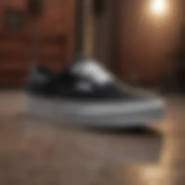 Exquisite Craftsmanship of Material Quality Detailed view of the material quality of Vans Authentic Velvet, illustrating craftsmanship.