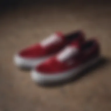 Versatile Styling with Vans Authentic Velvet Vans Authentic Velvet styled in a streetwear outfit, highlighting its versatility.