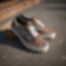 Close-up of black and brown checkered Vans against a skatepark backdrop