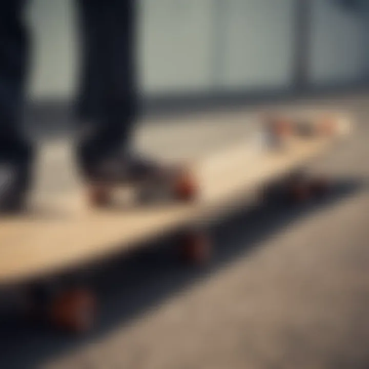 Group of riders choosing between penny boards and longboards