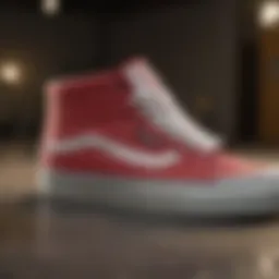 Vans Pro Model Shoes showcasing iconic design