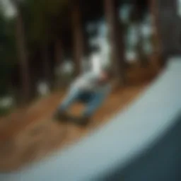 The Intersection of Arbor, Whiskey, and Skateboarding: A Cultural Analysis Introduction