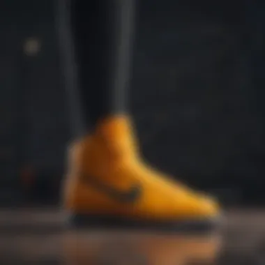Market Variety of Nike Shoe Guards Variety of Nike shoe guards available in the market, highlighting trends and options