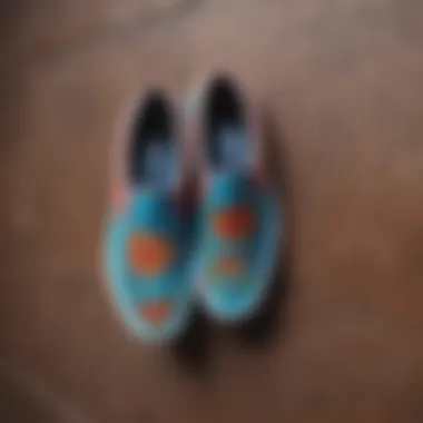 Cultural Essence of Vans Loteria Slip-Ons Vans Loteria Slip-Ons showcasing unique cultural designs