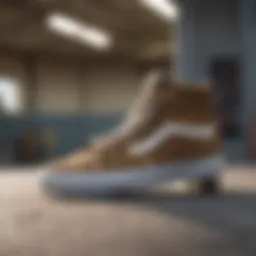 Stylish Vans Hi-Top Leopard sneaker on a skateboard