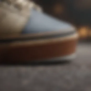 Close-up of Vans Kyle Pro shoe sole for grip