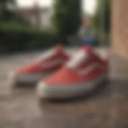 Vans old shoes showcasing their classic design