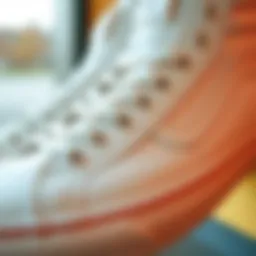 Close-up of Vans Rowan Pro White sneaker design