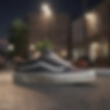 Artistic Collaboration Vans shoe collaboration with famous artist