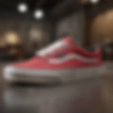 Vans Signature Skate Shoes - Impact on Skateboarding Community