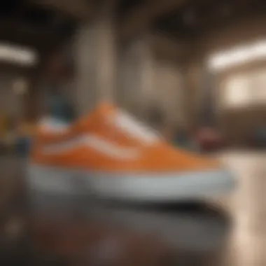 Vans Signature Skate Shoes - Technology in Construction