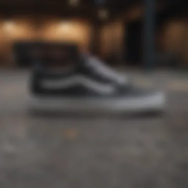 Construction Materials of Vans Skate Hi Black Close-up of Vans Skate Hi Black construction materials